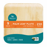 9” Square Palm Plates like Bamboo 300 PCs - 50 PCs (Wholesale/Bulk)