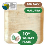 10” Square Palm Plates like Bamboo 300 PCs - 50 PCs (Wholesale/Bulk)