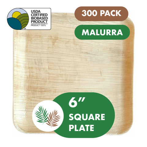 6” Square Palm Plates like Bamboo 300 PCs - 50 PCs (Wholesale/Bulk)