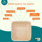 6" Palm Square Bowl like Bamboo (Wholesale/Bulk) 300 PCs
