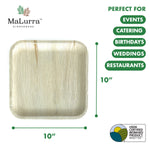 10” Square Palm Plates like Bamboo 300 PCs - 50 PCs (Wholesale/Bulk)