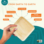 7" and 10" Square Set Palm Plates like Bamboo (Wholesale/Bulk)