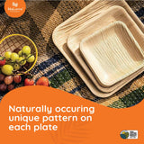 7" and 10" Square Set Palm Plates like Bamboo (Wholesale/Bulk)